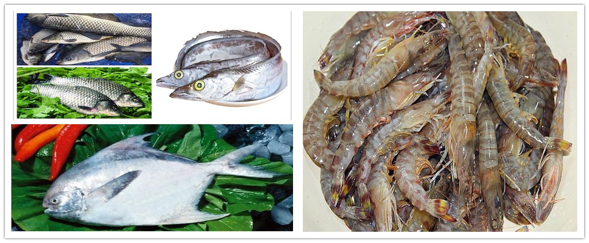 1636280247817894.jpg 1-200Q000493C25.jpg